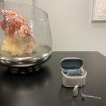 Phonak Audéo Lumity L30 image 3
